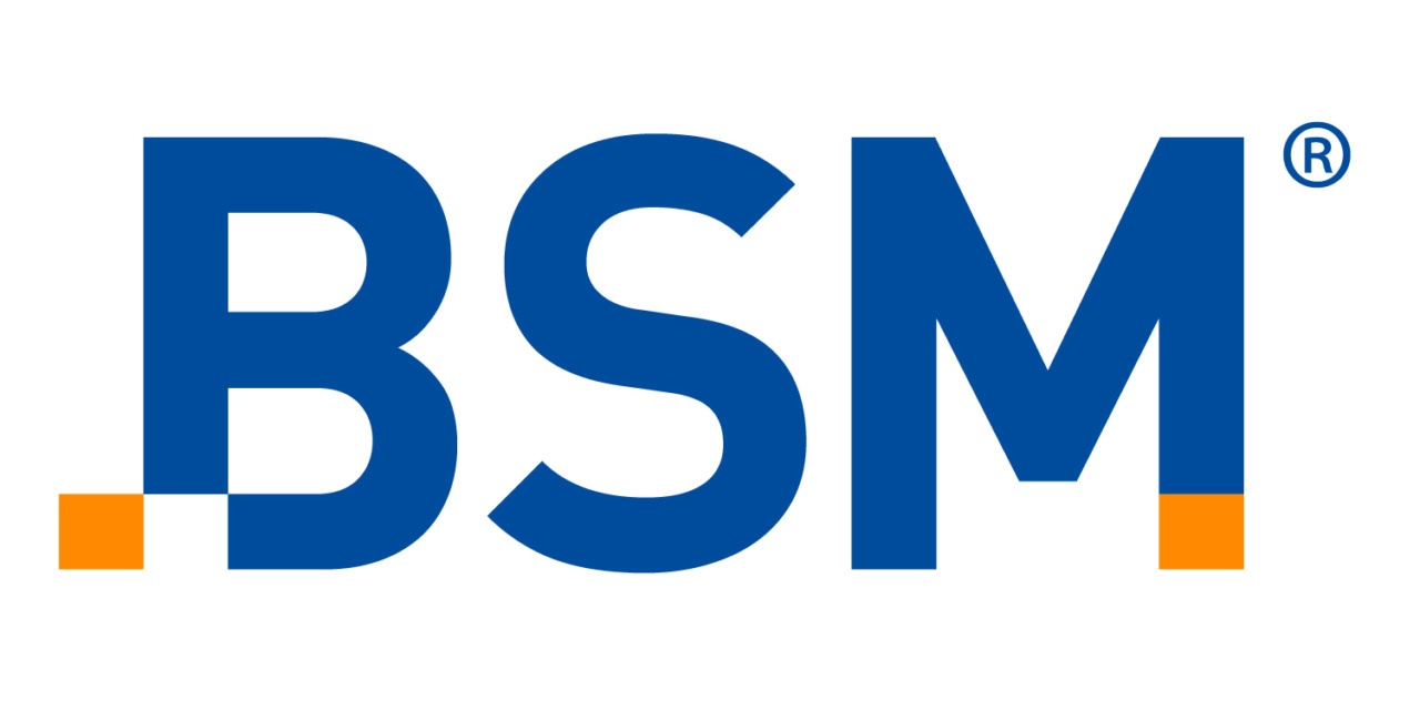 BSM GmbH