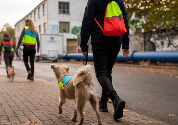 Fahrrad Warnweste Bunter Hund in Rot/Gelb - Antonia Berndt