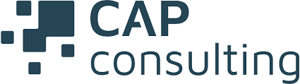 cap consulting GmbH