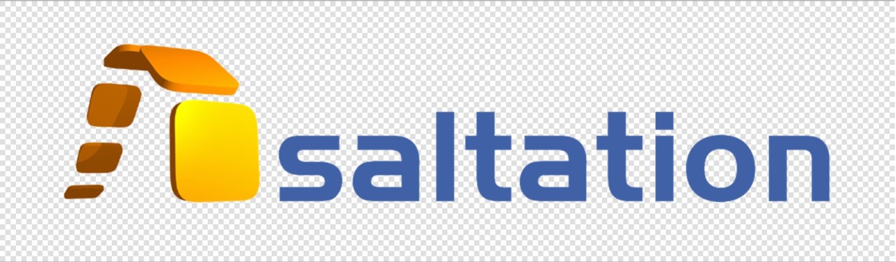 saltation GmbH & Co. KG